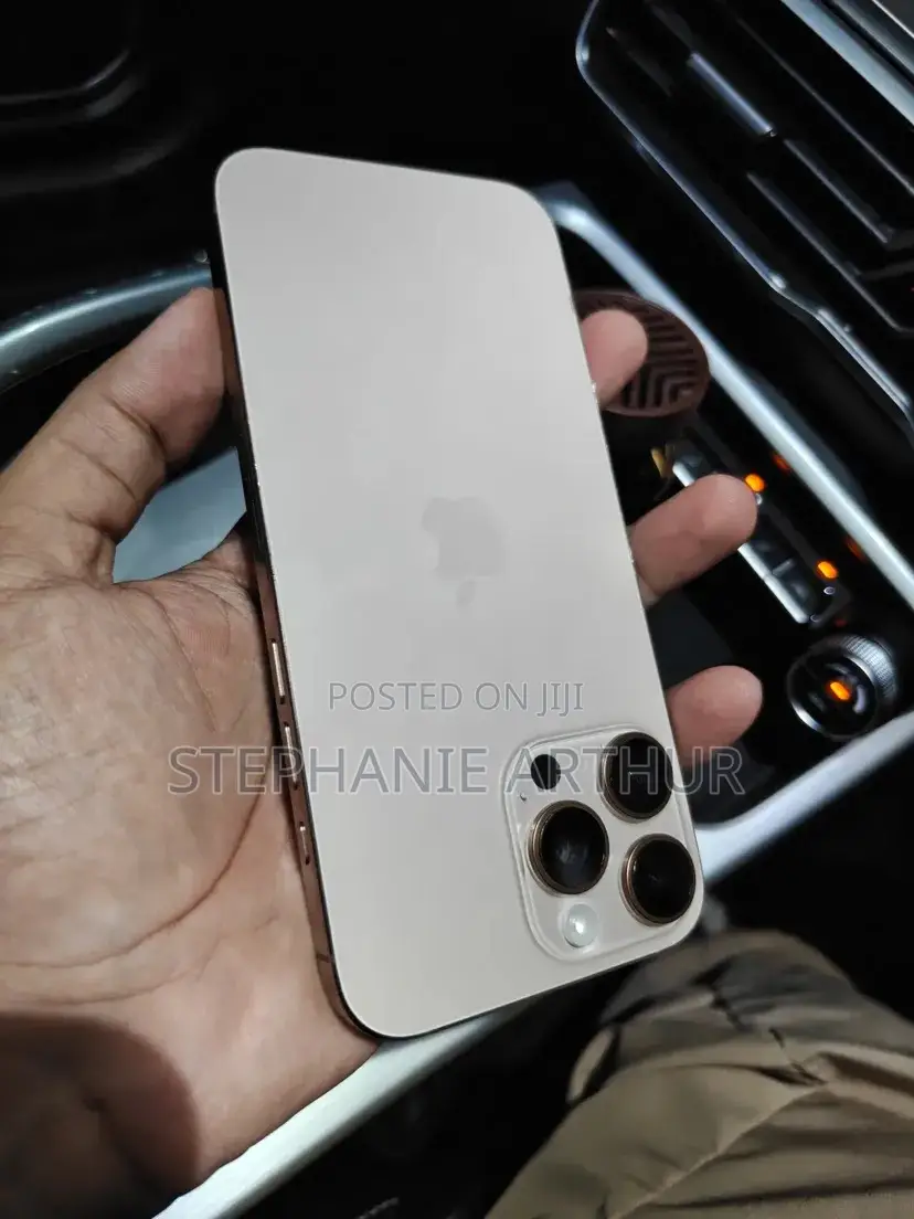 Apple iPhone 15 Pro Max 256 GB Silver