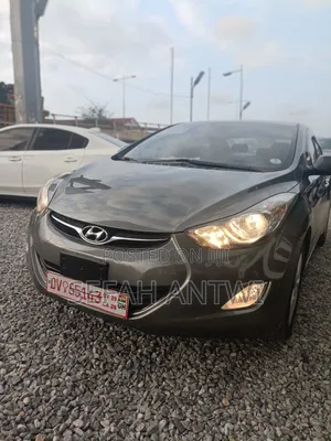 Hyundai Elantra 2013 Gray