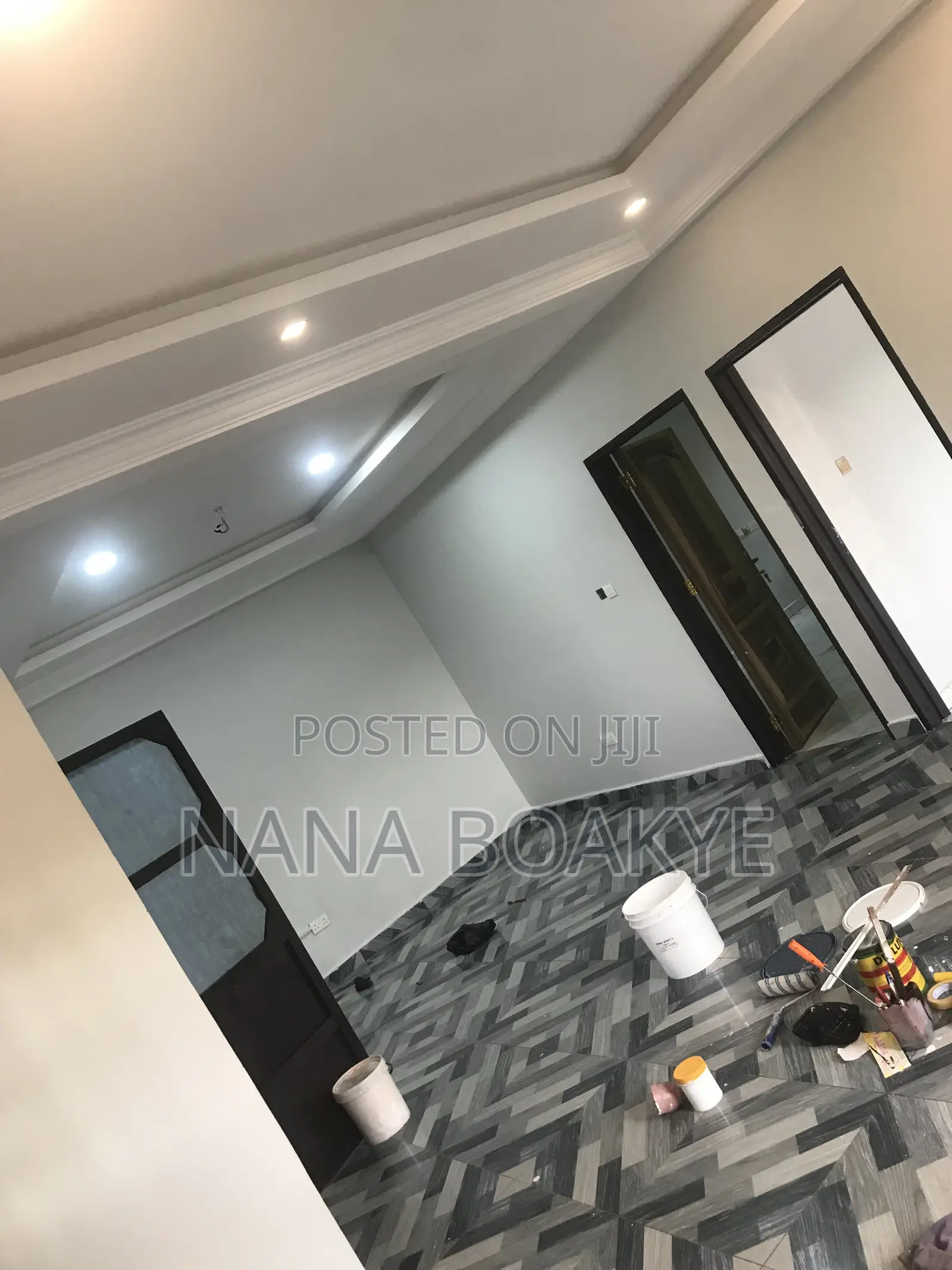 Professional Painter