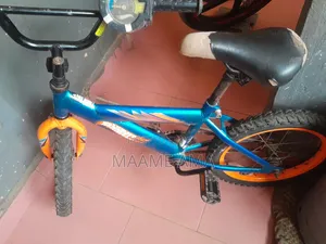 Kids Bicycle 2023 Blue