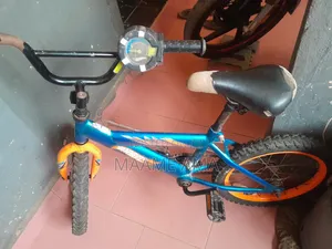 Kids Bicycle 2023 Blue