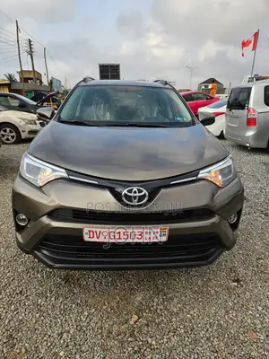 Toyota RAV4 LE AWD (2.5L 4cyl 6A) 2016 Gray