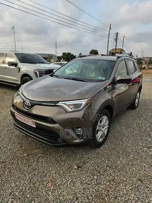 Toyota RAV4 LE AWD (2.5L 4cyl 6A) 2016 Gray