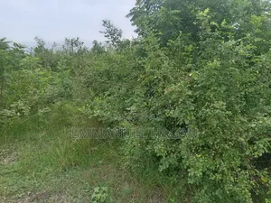 Half Plot of Land for Sale