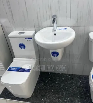 Combined Wc With Basin
