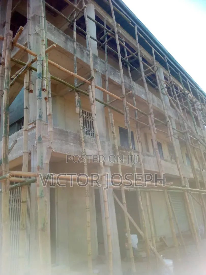 Bamboo Scaffold