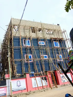 Bamboo Scaffold