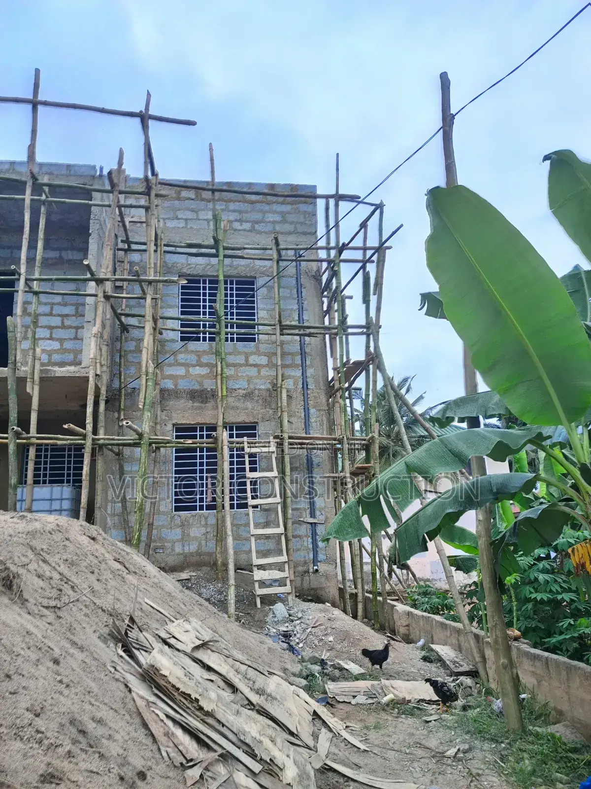 Bamboo Scaffold