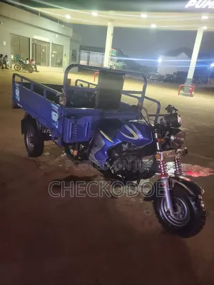 Tricycle 2025 Blue