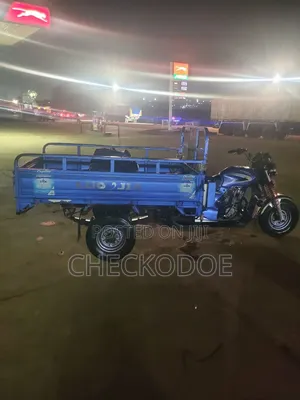 Tricycle 2025 Blue