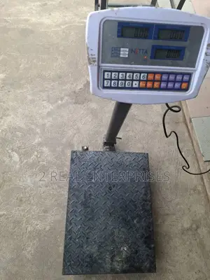 NETTA 300kg Digital Commercial Scale
