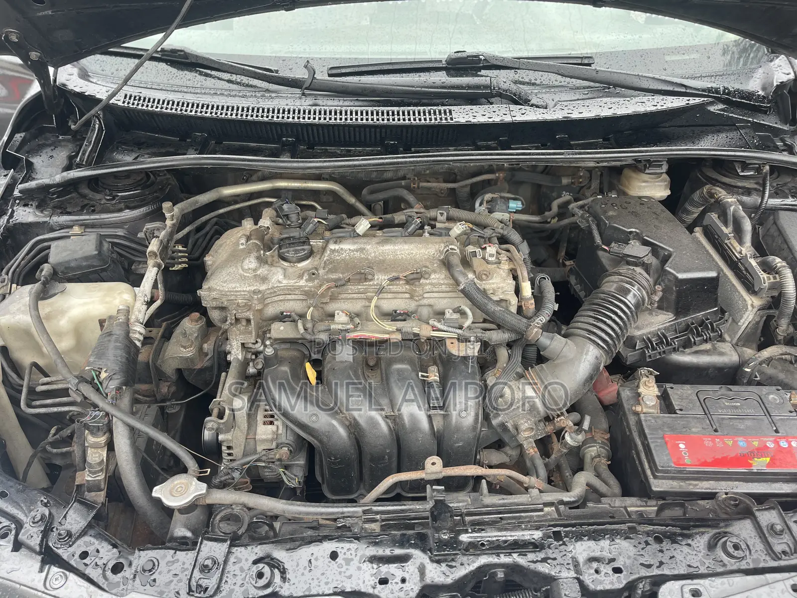 Toyota Corolla LE 4dr Sedan (1.8L 4cyl 4A) 2010 Gray