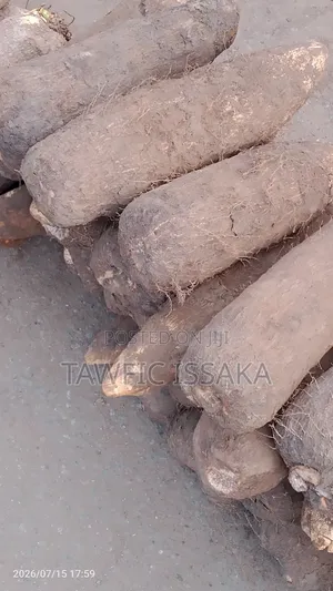 New and Fresh Yam Available for Sell.