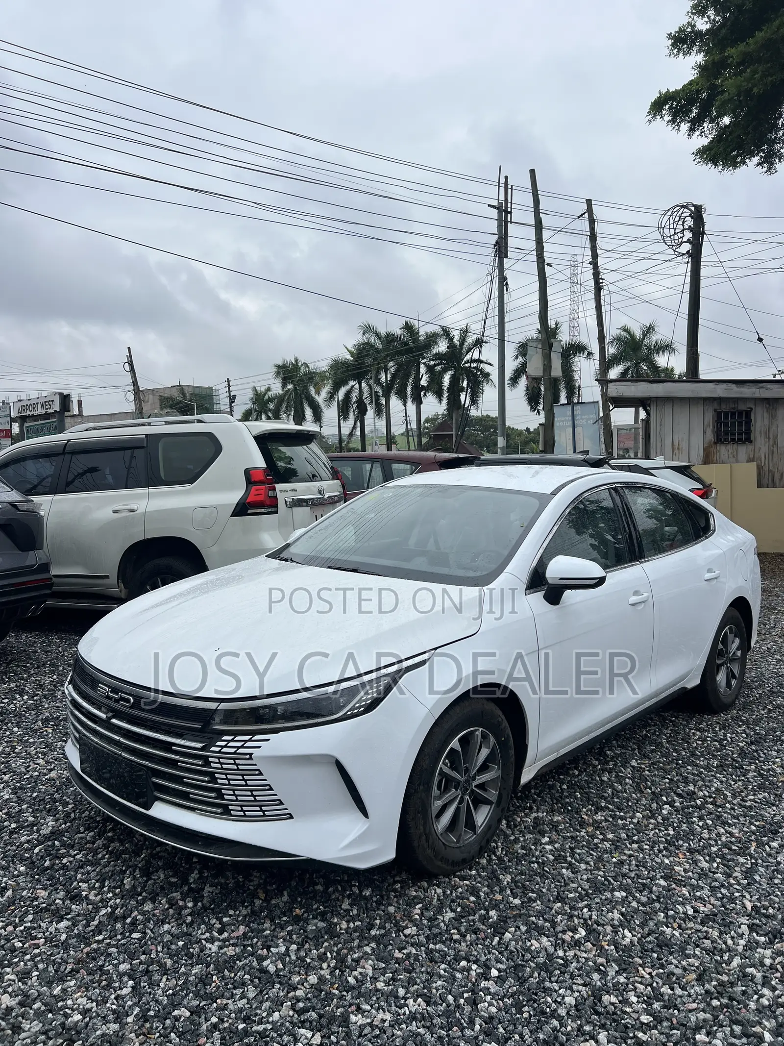 New BYD Qin Plus DM-i 2025 White
