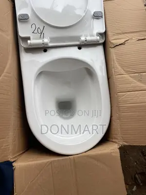 Tornado Flash Water Closet Back to Wall Toilet