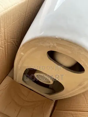 Tornado Flash Water Closet Back to Wall Toilet