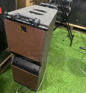 10 Inches Kara Professional Line Array Speaker
