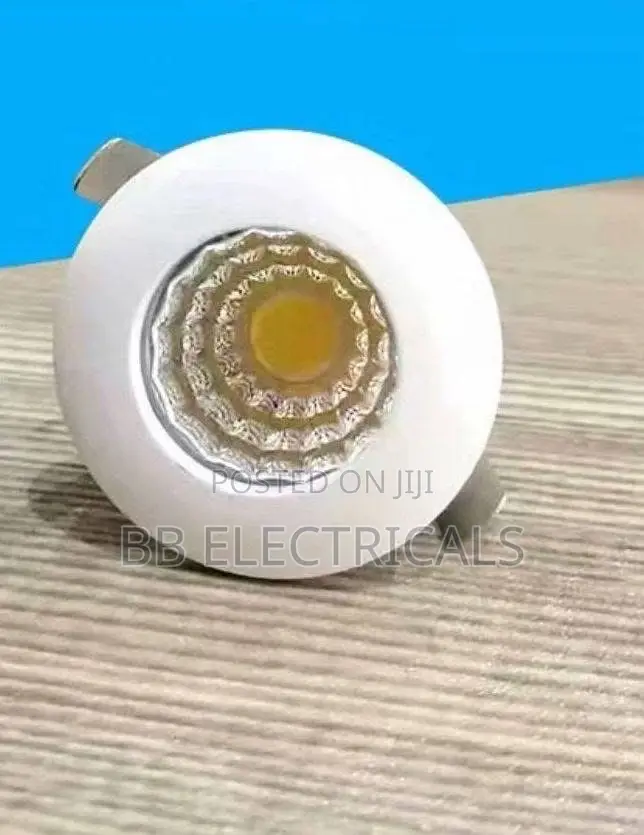 1w Cob Spotlight