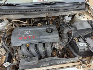 Toyota Corolla LE 4dr Sedan (1.8L 4cyl 4A) 2010 Silver