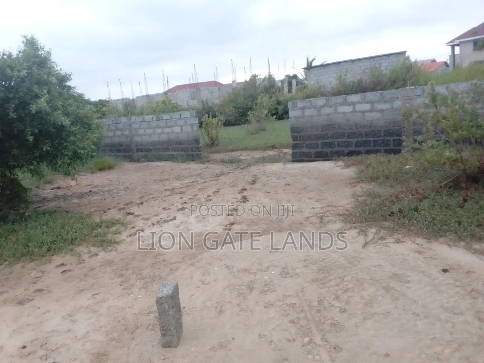 Half Plot at PS Global Estate