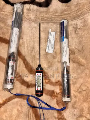 Accurate Digital Food Thermometer