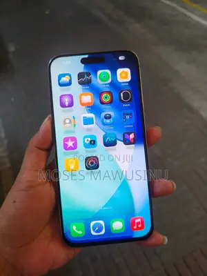 Apple iPhone 15 Pro Max 256 GB Gray