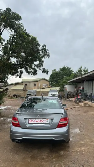 Mercedes-Benz C250 2014 Gray