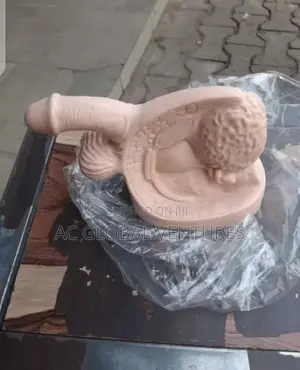Male Organ