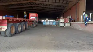 American Paint