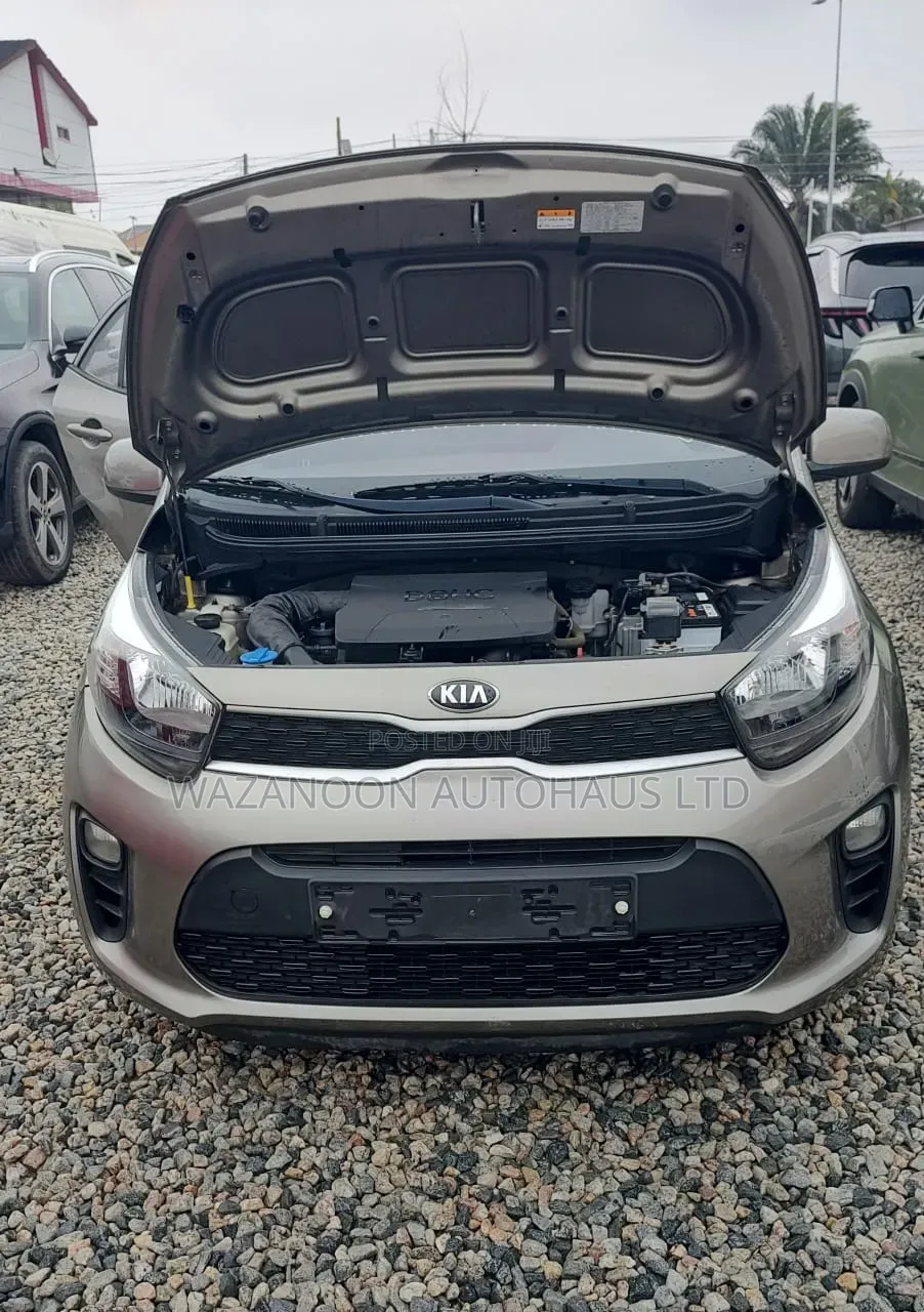 Kia Morning 2019 Brown