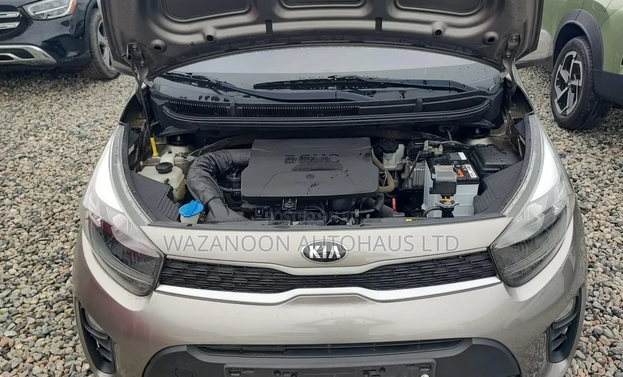 Kia Morning 2019 Brown