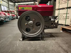 Changfa Zs1105/ Zs1115 Diesel Engine