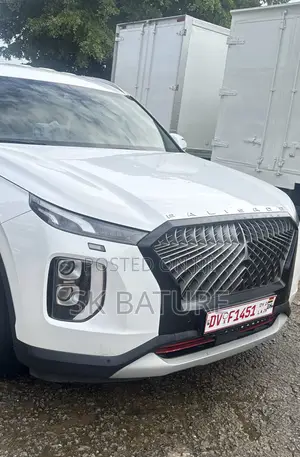 Hyundai Palisade 2021 White