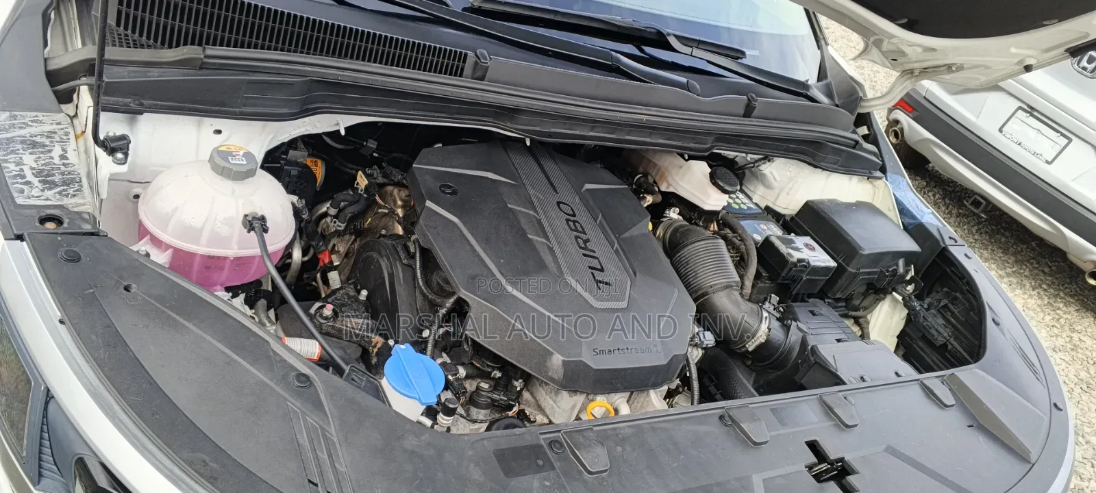 Kia Carnival 2021 White