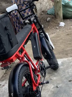 Electric Bike