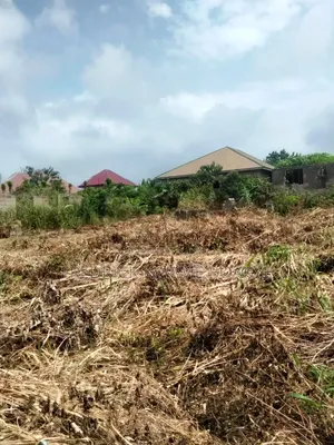 Plot of Land for Sale at Agric Akyeremade