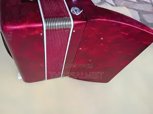 Walter Special Accordion