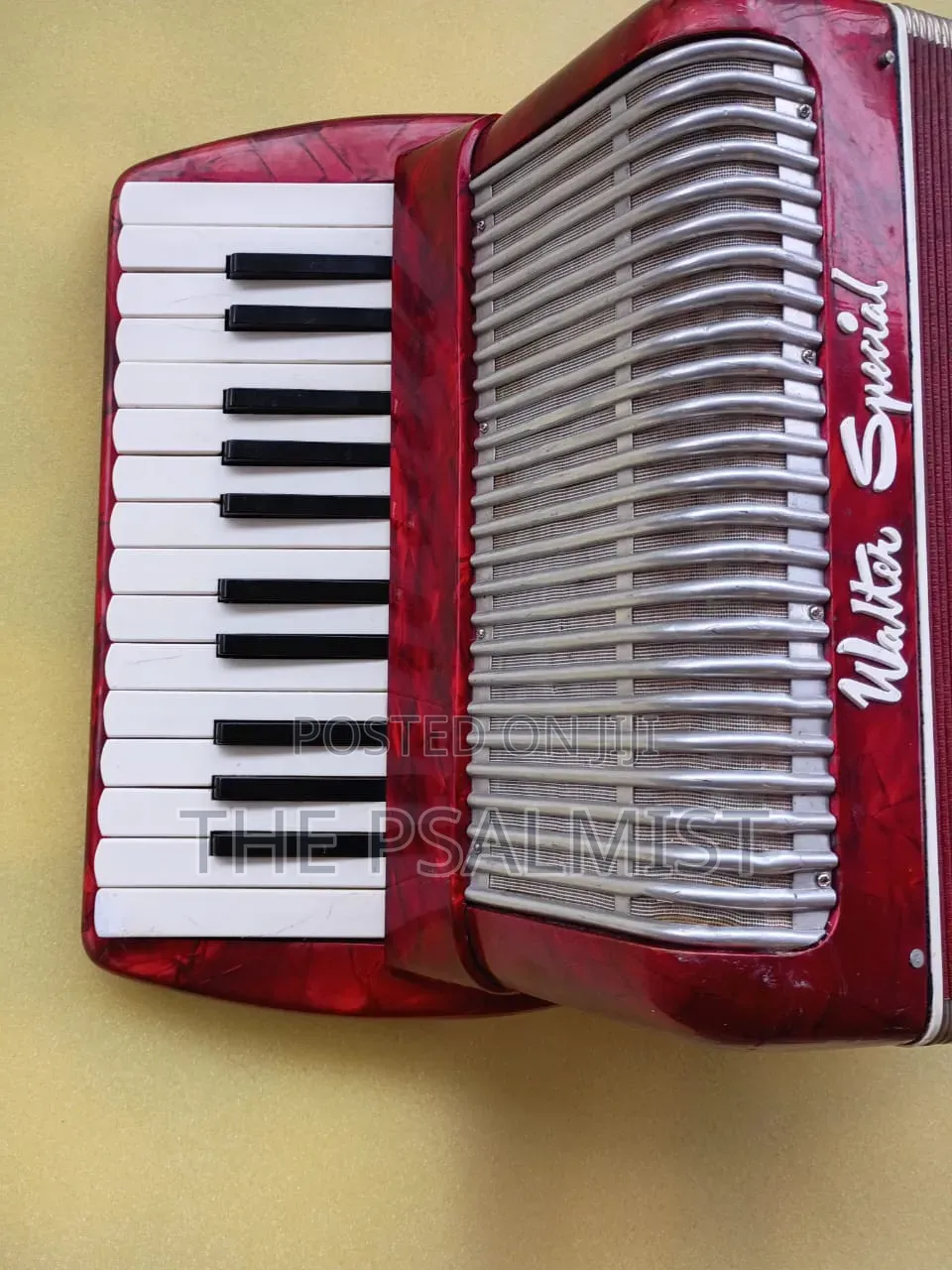 Walter Special Accordion