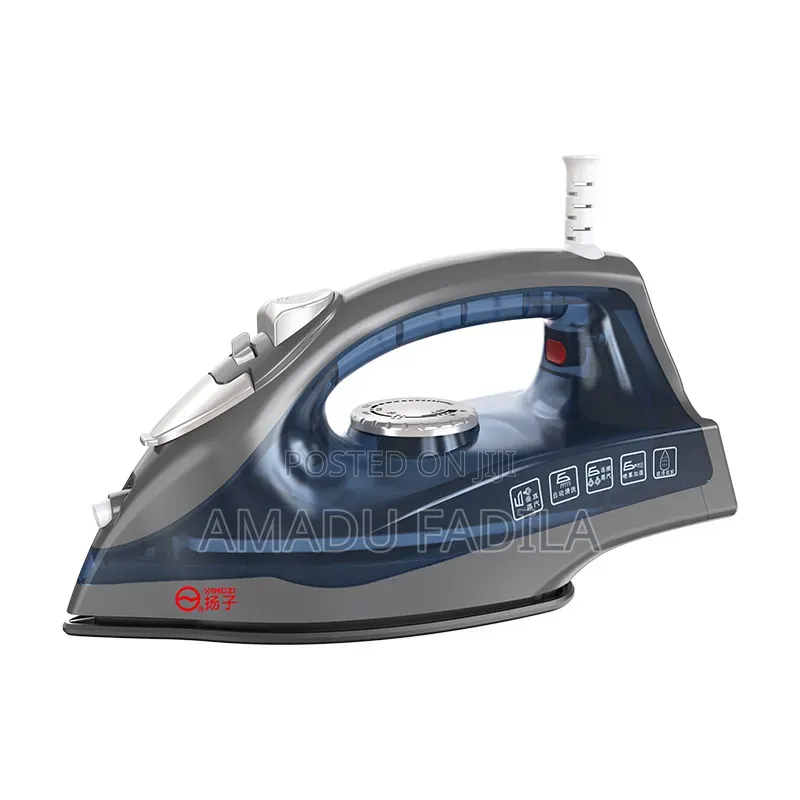 Electric Steam Iron