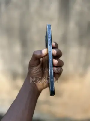 Apple iPhone 15 Pro Max 256 GB