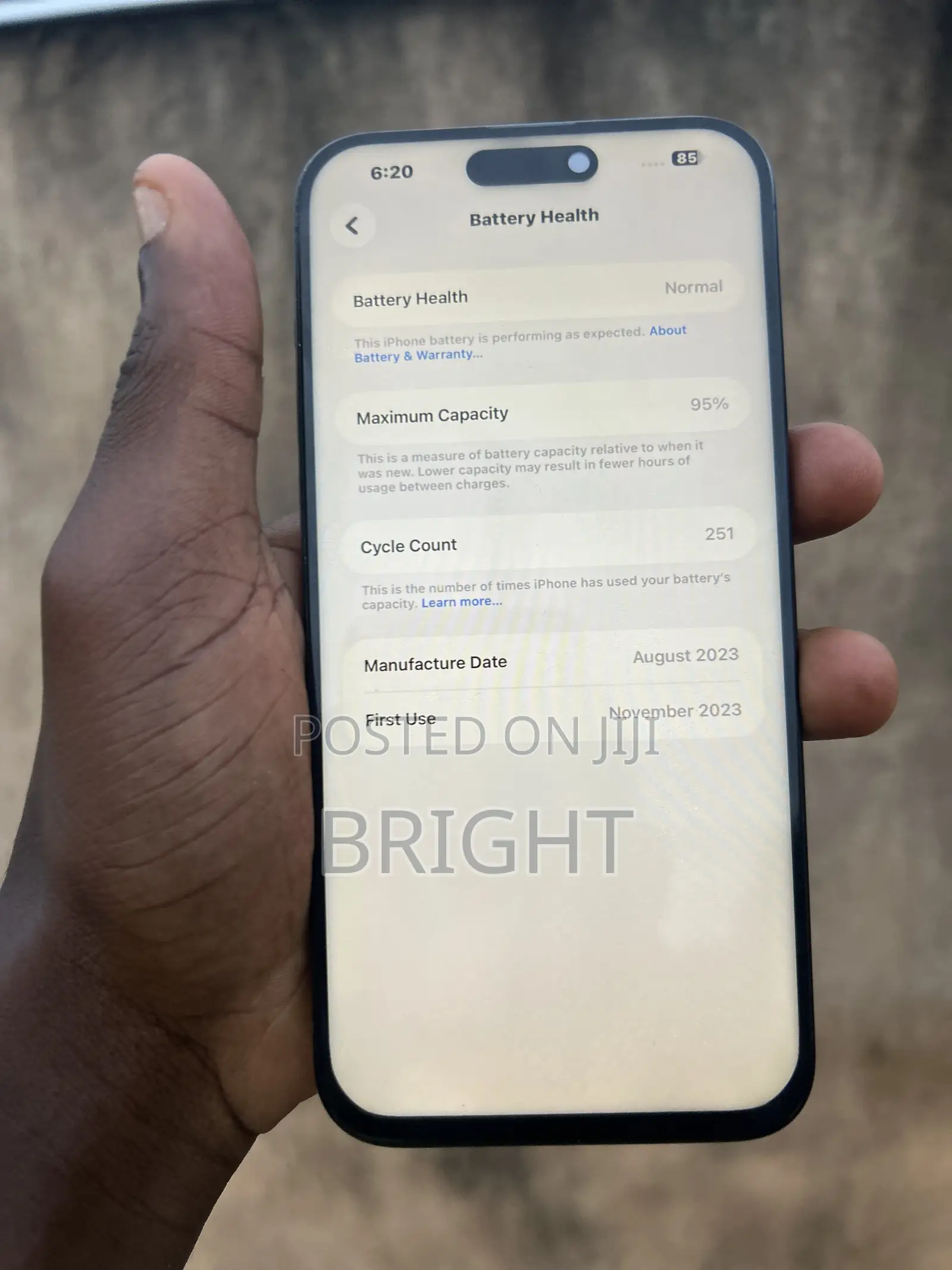 Apple iPhone 15 Pro Max 256 GB