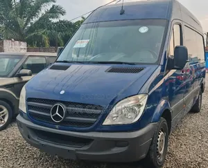 Mercedes-Benz Sprinter 2011 Blue