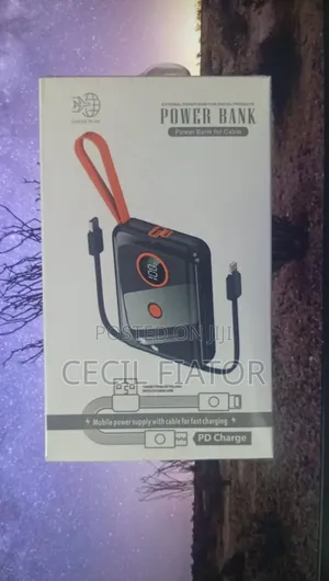 Portable Power Bank