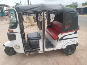 Tricycle 2022 White