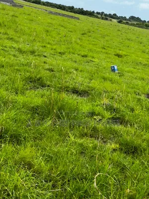 A Plot of Land for Sale at Dawa After Central University