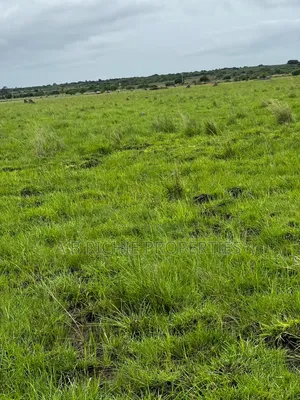 A Plot of Land for Sale at Dawa After Central University