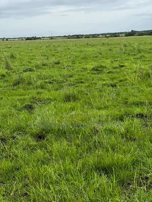 A Plot of Land for Sale at Dawa After Central University