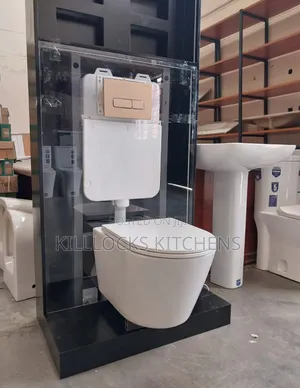 Gold Toilet Seats / Black Watercloset