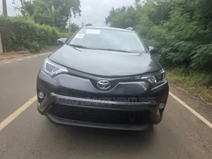 Toyota RAV4 XLE 4dr SUV AWD (2.5L 4cyl 6A) 2014 Gray