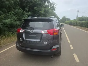 Toyota RAV4 XLE 4dr SUV AWD (2.5L 4cyl 6A) 2014 Gray